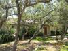 601 Saddlehorn
 Dripping Springs TX 78620